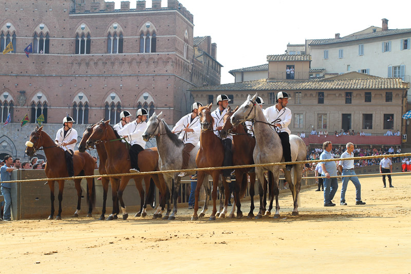 Palio di Siena, Palio Straordinario: Le Batterie, 28 cavalli presenti, assente Osama Bin