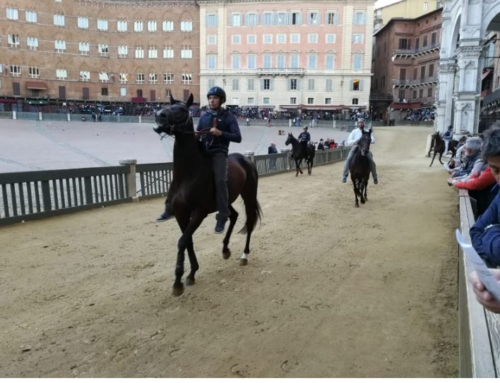 Palio di Siena: Ecco i 72 cavalli che hanno passato le Previsite