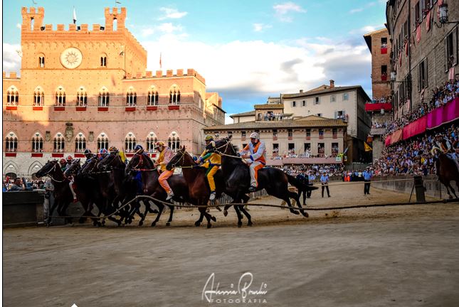Palio di Siena, Palio Straordinario: Lotto di cavalli omogeneo o lotto di cavalli esperti ?