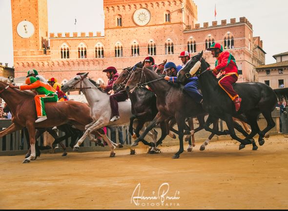 Palio di Siena: Gli anni di nascita dei cavalli