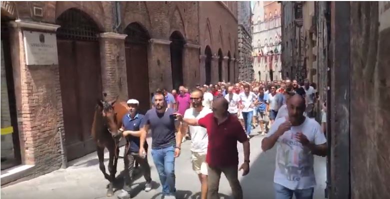 Palio di Siena, Contrada della Chiocciola: Post assegnazione Violenta da Clodia, riprese in Via di Città 29/06/2019