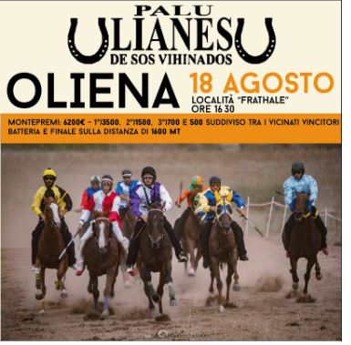 Palii Airvaas, Oliena, Palu Ulianesu de Sos Vihinados: Ecco i 14 cavalli e i 14 fantini