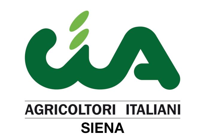 Provincia di Siena, Maltempo nel senese, l’allarme di Cia: “Annata cerealicola a rischio”