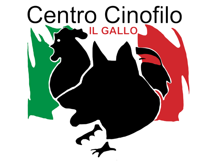 Provincia di Siena: Il grande cuore di Siena, donati oltre 4mila euro per ricostruire il centro cinofilo Il Gallo