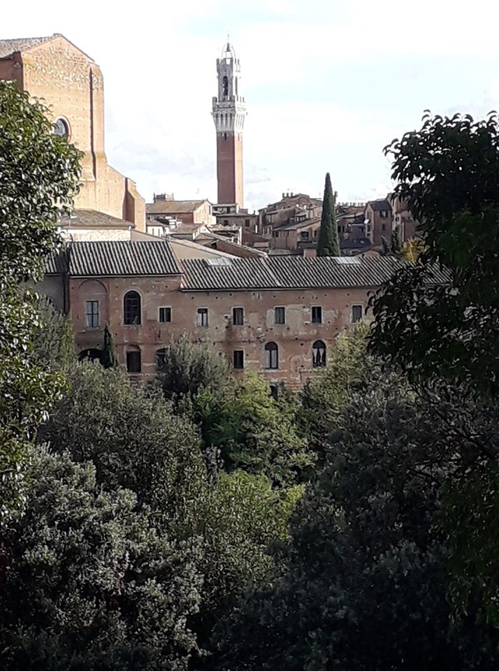 Siena, Storia – Siena: Città e libreria Piccolomini