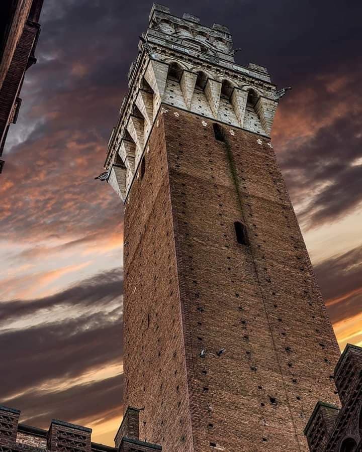 Siena: Cade dalle scale della Torre del Mangia, intervengono i vigili del fuoco