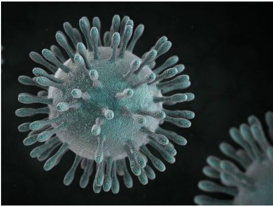 Toscana: Coronavirus, oggi 231 nuovi casi e 13 decessi