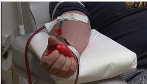 Toscana, Sangue, l’appello ai donatori di Avis Toscana: “Chi sta bene vada a donare”