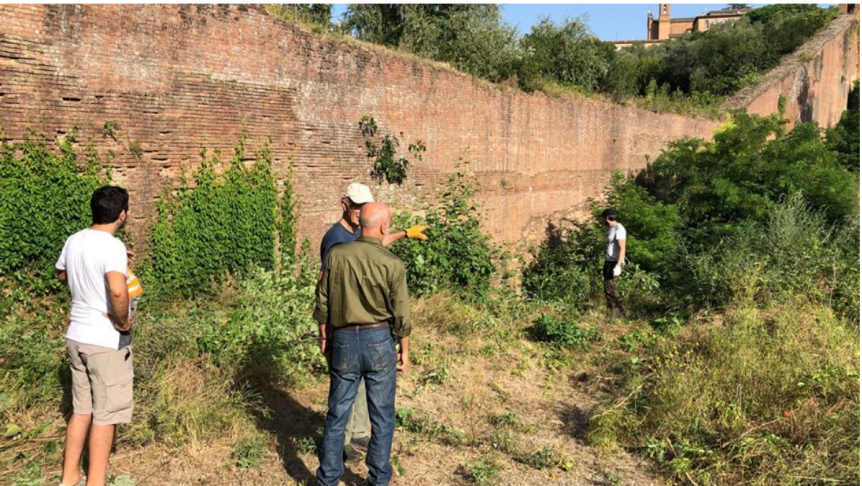 Siena: Comune rinnova il patto di collaborazione con l’associazione “Le Mura”