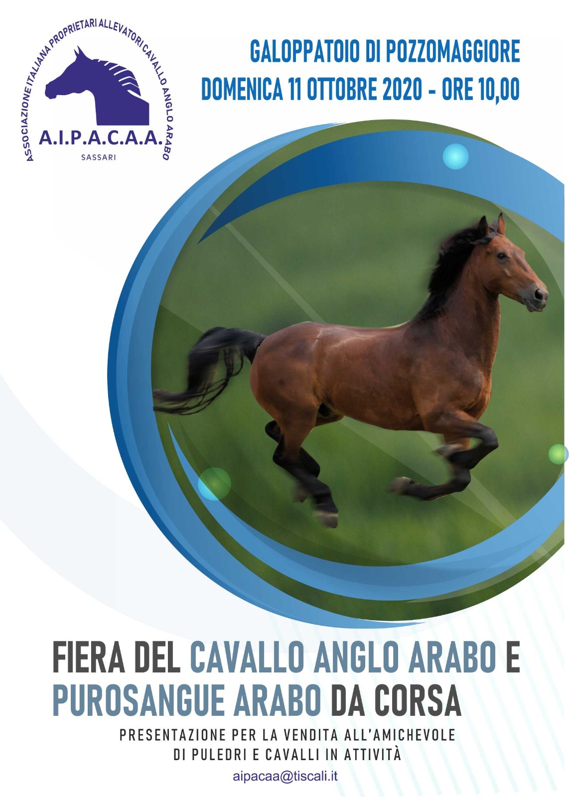 Ippica Sardegna Aipacaa 11 10 Fiera Del Cavallo Anglo Arabo E Purosangue Arabo Da Corsa Massi Lo Sa