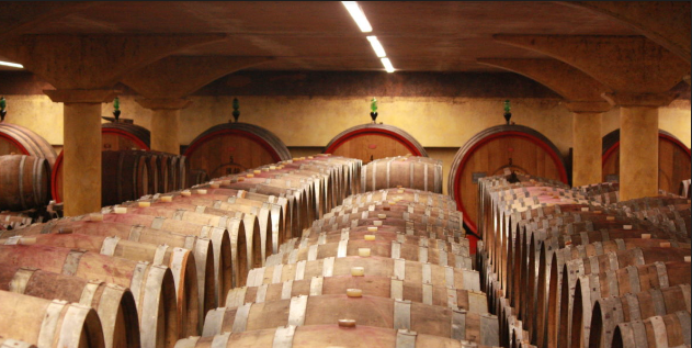 Provincia di Siena, Tenuta nuova di Casanova di Neri: Il vino che mette d’accordo tutti