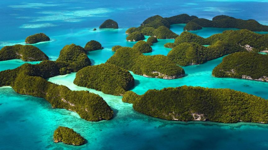 Italia: Palau, uno dei più estesi santuari marini del mondo, al centro di uno studio di UniSi pubblicato da Nature Food