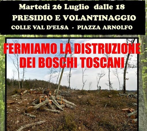 Provincia di Siena, A difesa dei boschi toscani: Presidio in piazza Arnolfo a Colle di Val d’Elsa