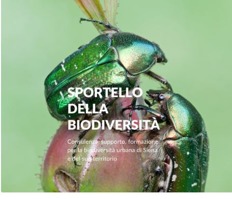 Siena: Nasce lo “Sportello della Biodiversità” al Museo di Storia Naturale dell’Accademia dei Fisiocritici