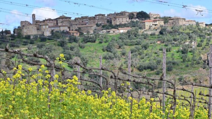 Provincia di Siena: Il gioiello Castelnuovo dell’Abate, la storia e il presente