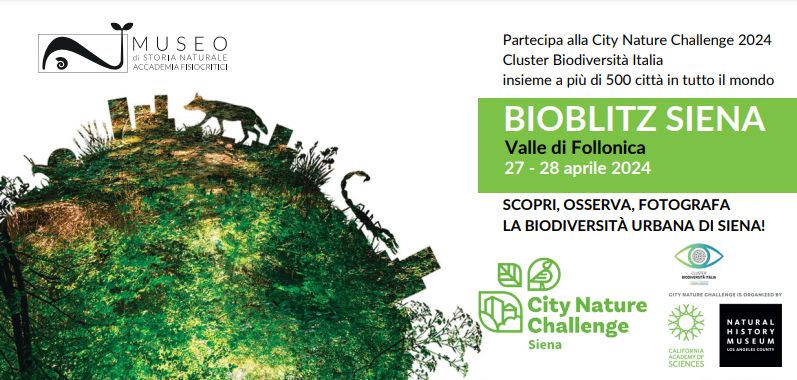 Siena: Il terzo BioBlitz si svolge il 27 e il 28 aprile nell’area urbana della Valle di Follonica